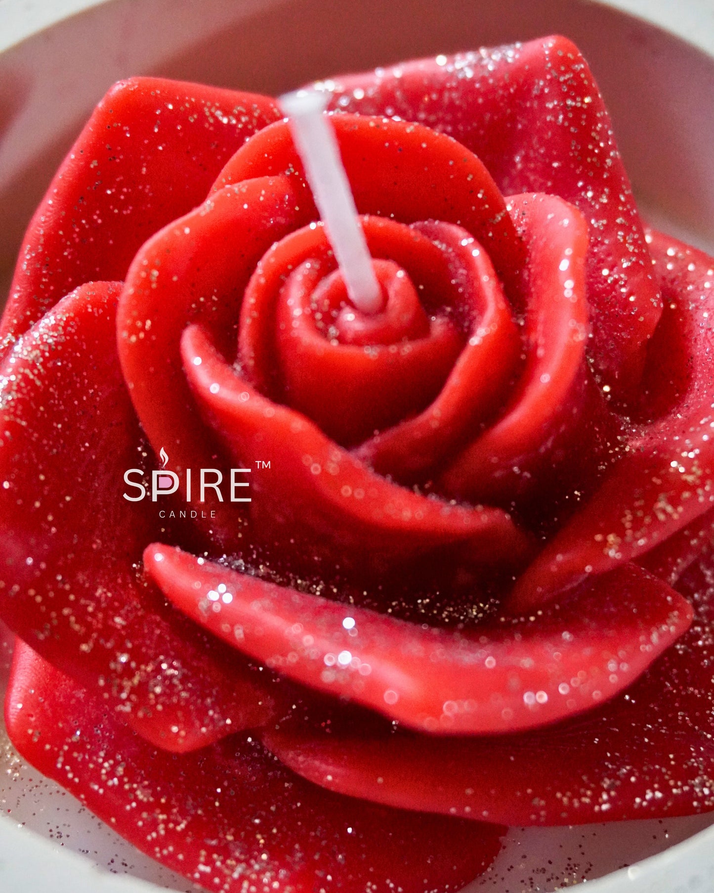 Rose in white jar
