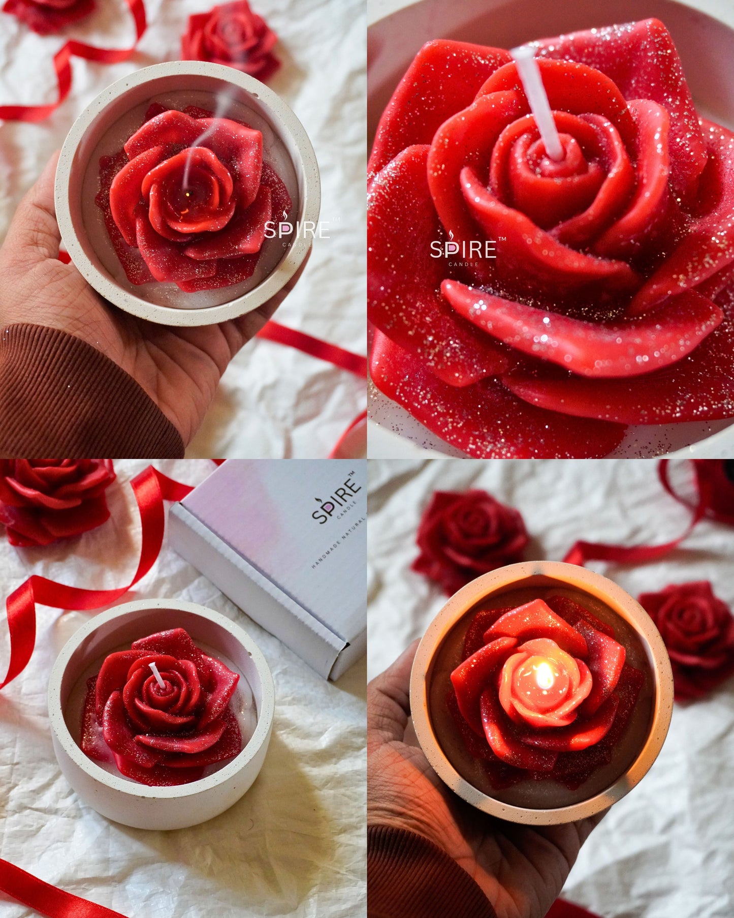 Rose in white jar