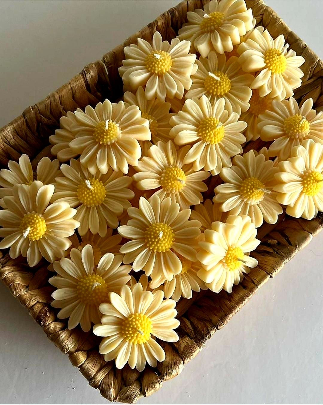 Daisy flower candle